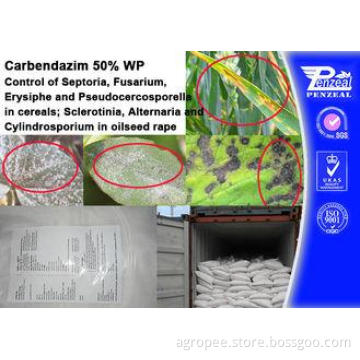 CARENDAZIM 50% WP Plant Fungicide Control Of Septoria , Fus